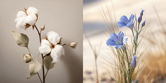 🌱 Linen vs Cotton: Why Linen is the More Sustainable Choice