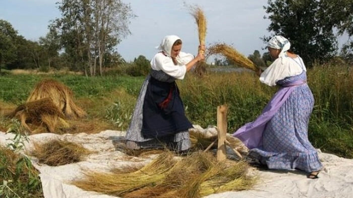 From Flax to Fabric: The Timeless Art of Creating Linen